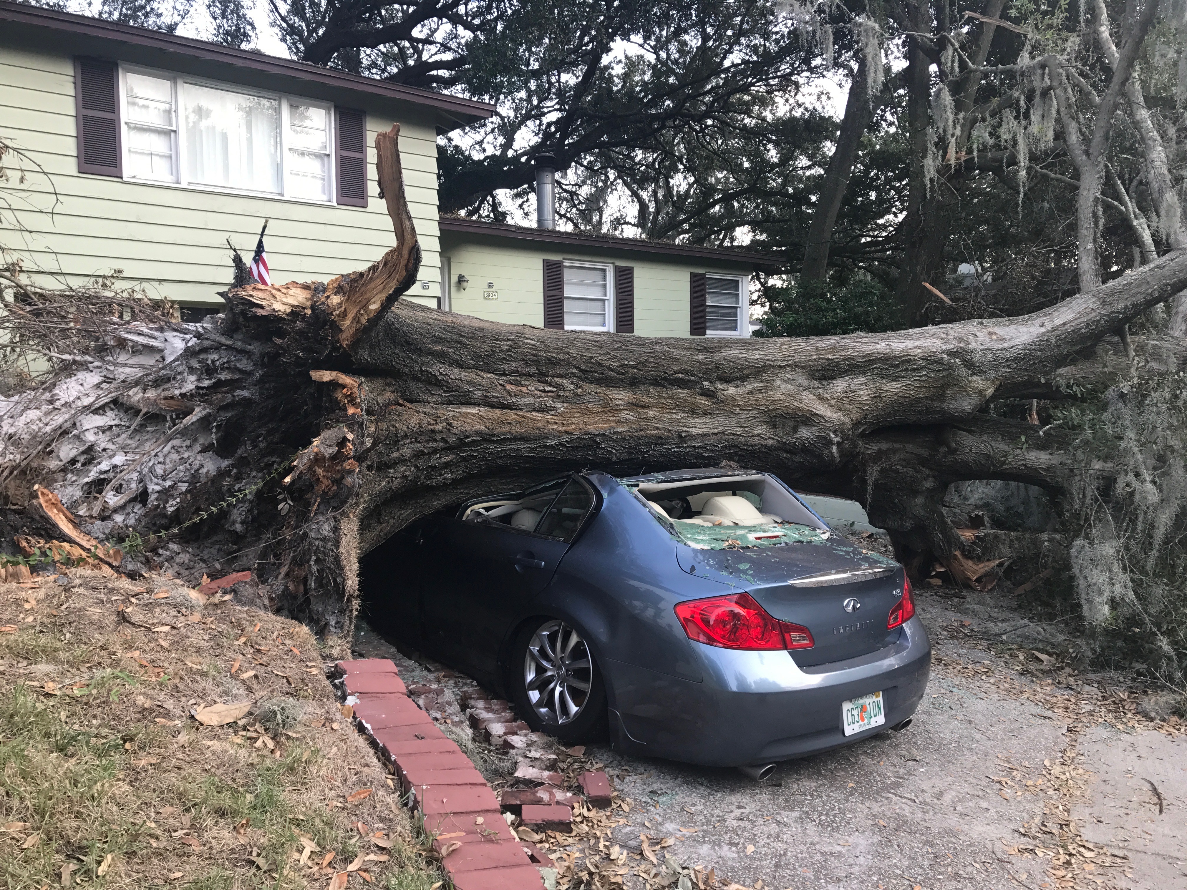 Large oak removal at a home in Woodstock, GA