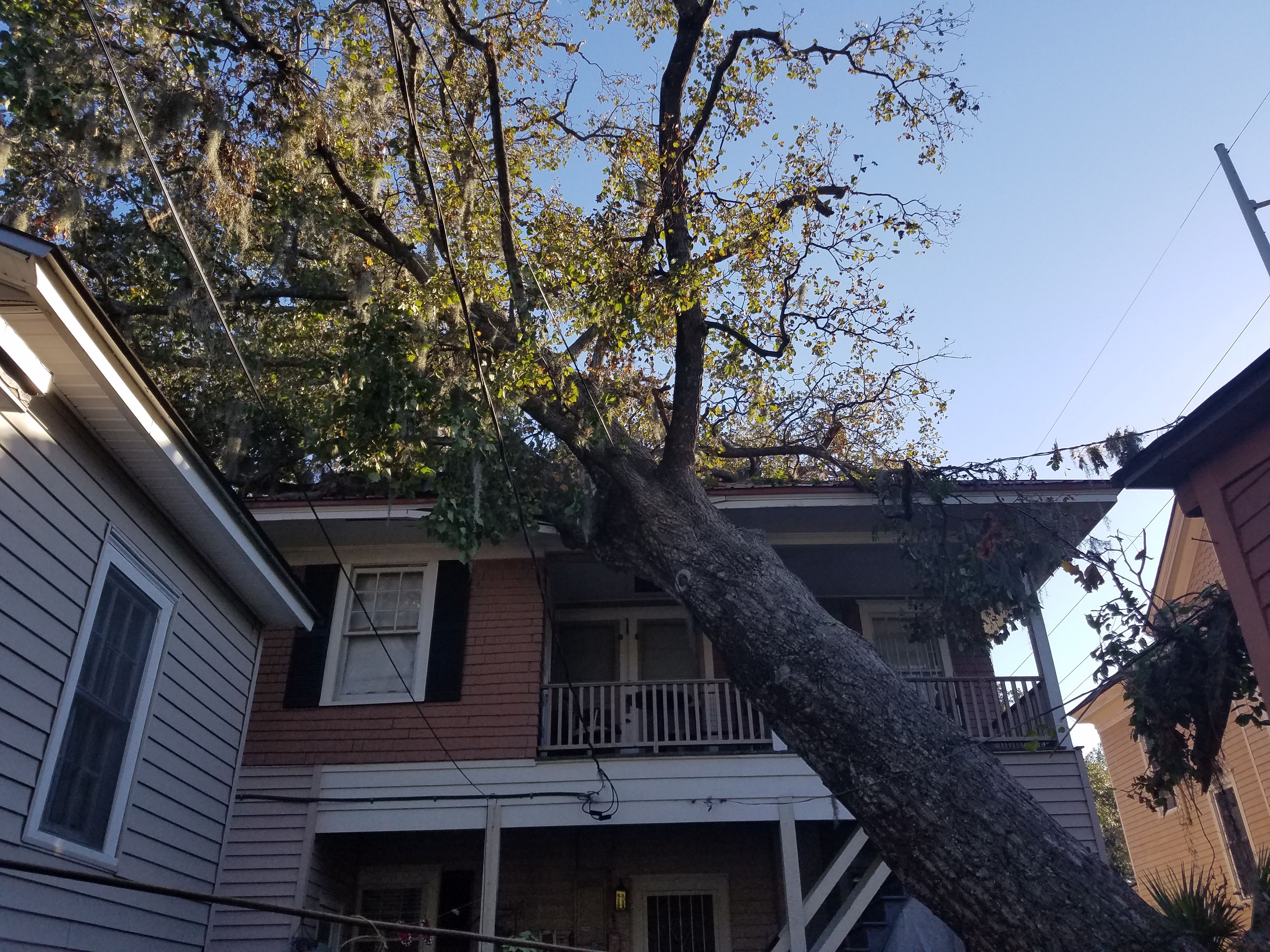 Tight-access tree removal beside a house