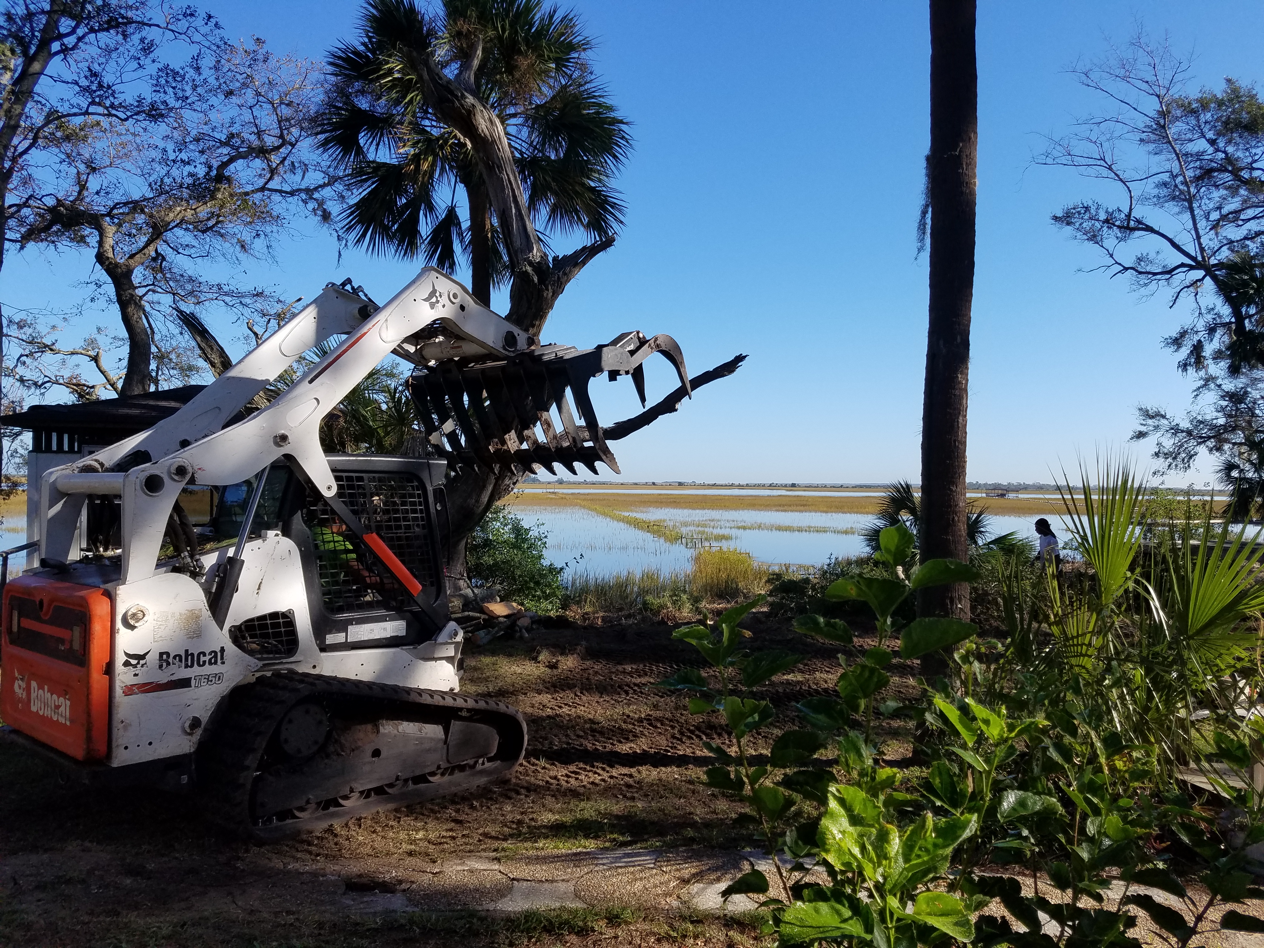 Debris hauling after a tree removal
