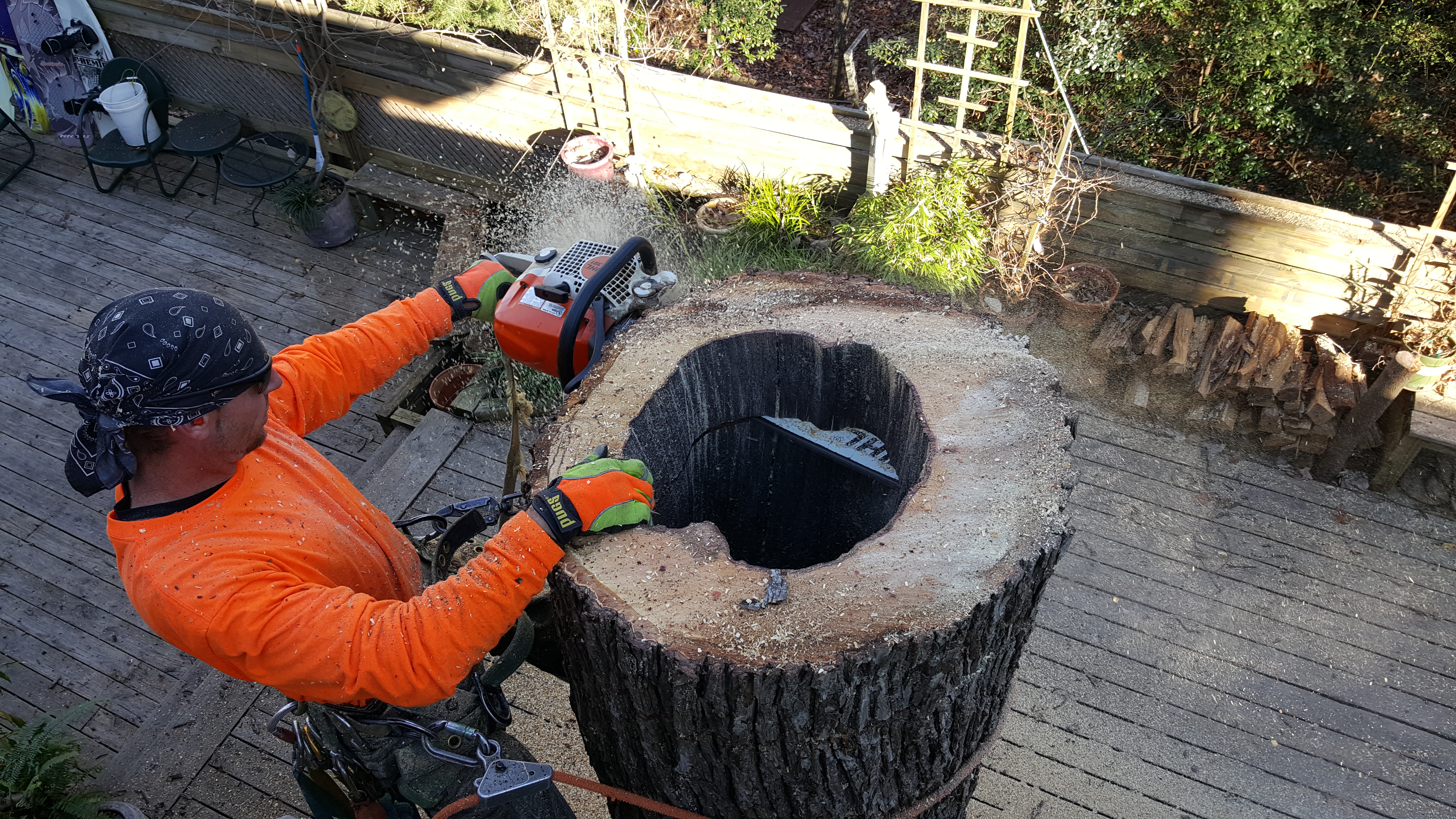 Pruning work on a residential property